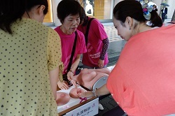 乳がん模型.jpg